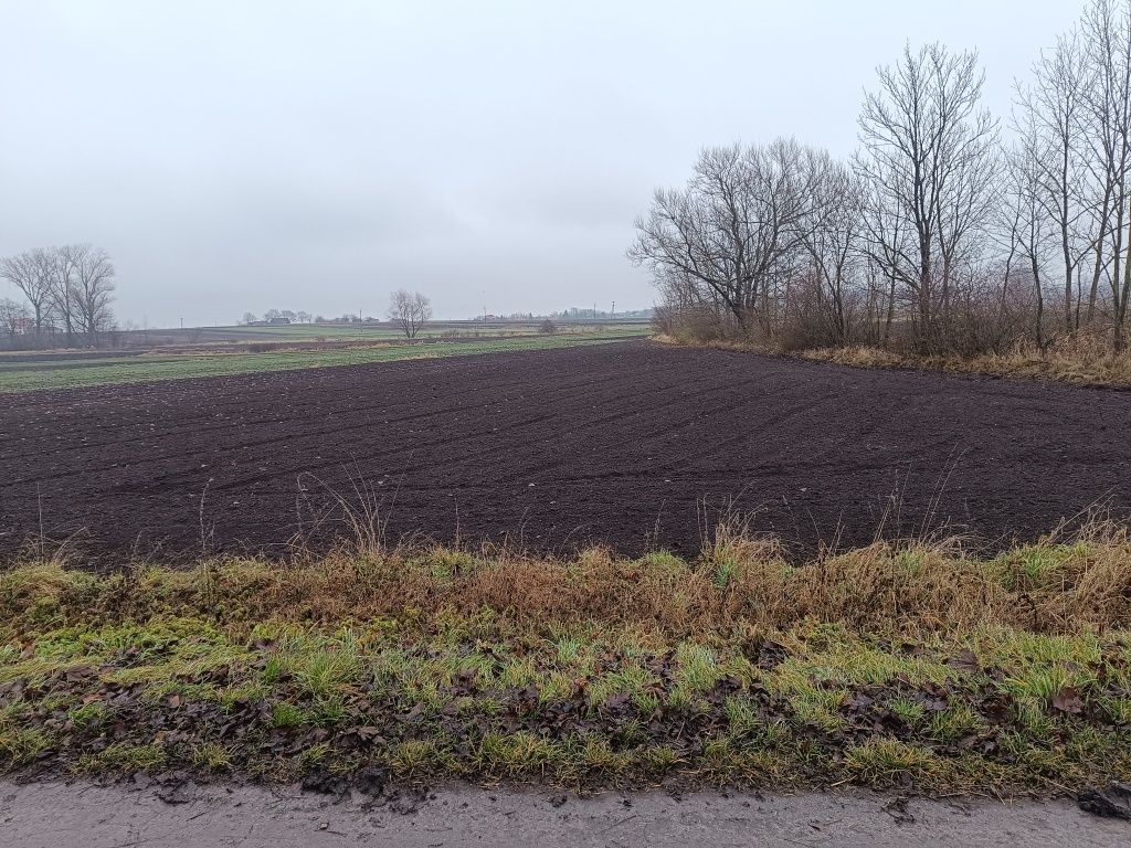 Działka budowlana Wierzbica. Zdjęcie 8