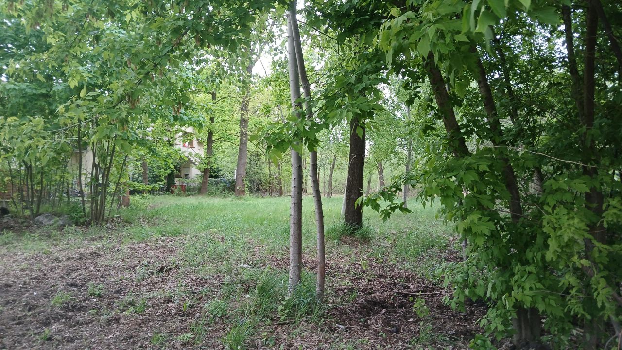 Działka budowlana Kobyłka Piotrówek, ul. Parkowa. Zdjęcie 10