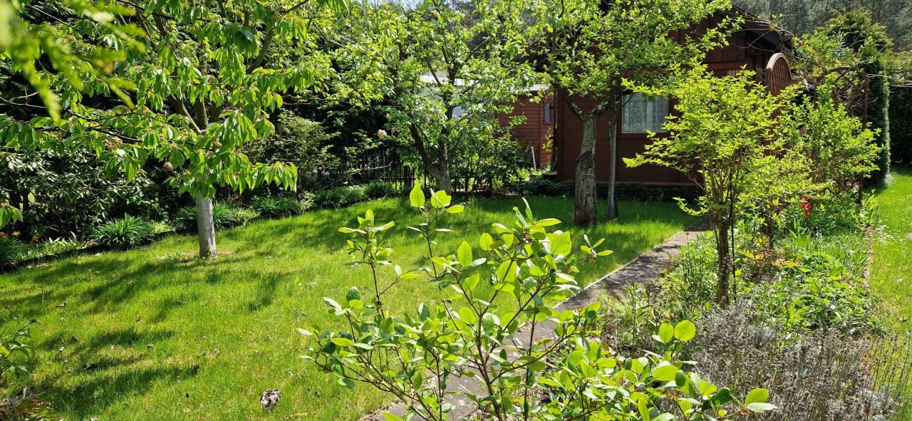 Działka rod Konin, ul. Świętojańska. Zdjęcie 6