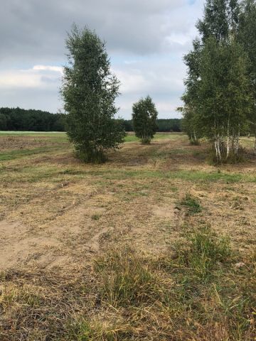 Działka budowlana Dębinki, ul. Cicha. Zdjęcie 1