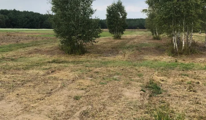 Działka budowlana Dębinki, ul. Cicha