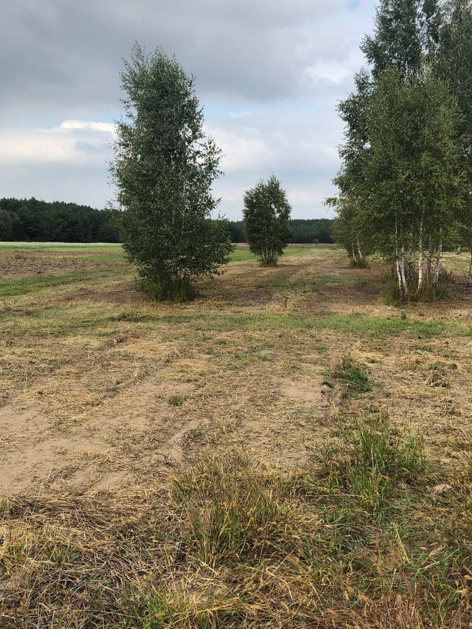 Działka budowlana Dębinki, ul. Cicha