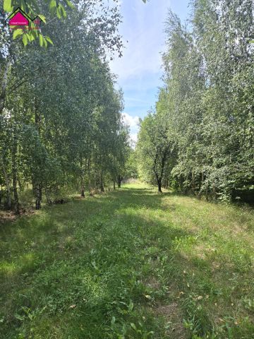 dom wolnostojący, 5 pokoi Mikorzyn. Zdjęcie 20