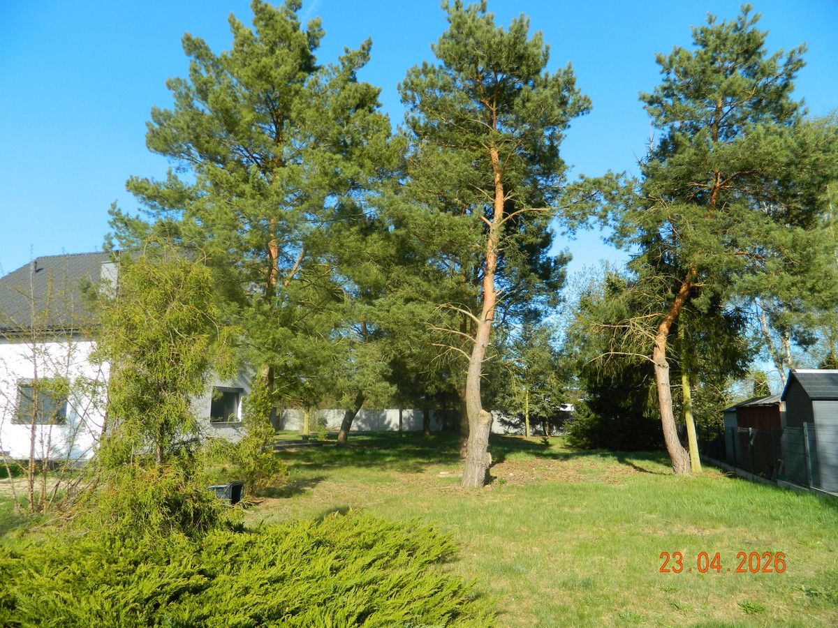 dom wolnostojący, 3 pokoje Krępsko, ul. Piaskowa. Zdjęcie 3