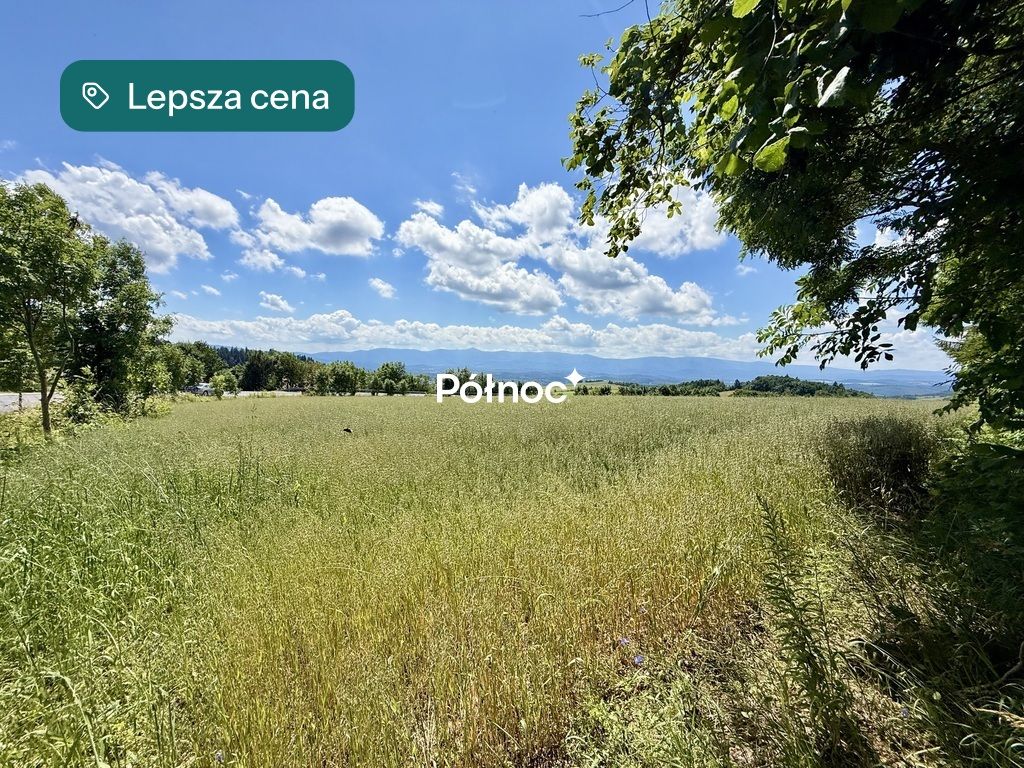 Działka budowlana Dziwiszów. Zdjęcie 7