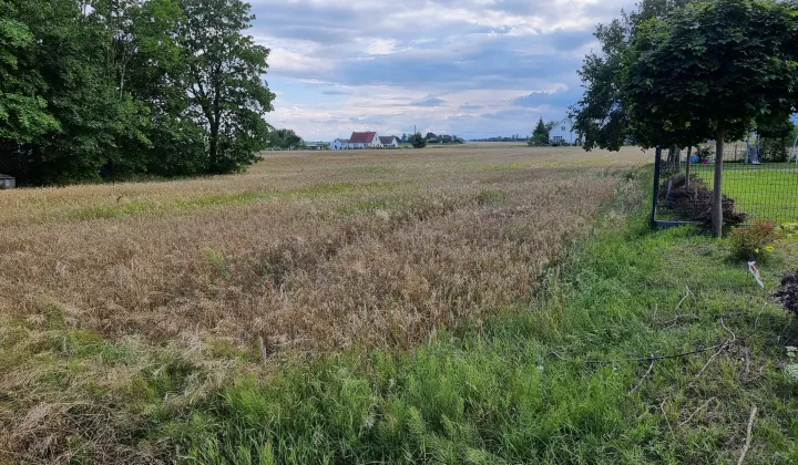 Działka rolno-budowlana Parlin