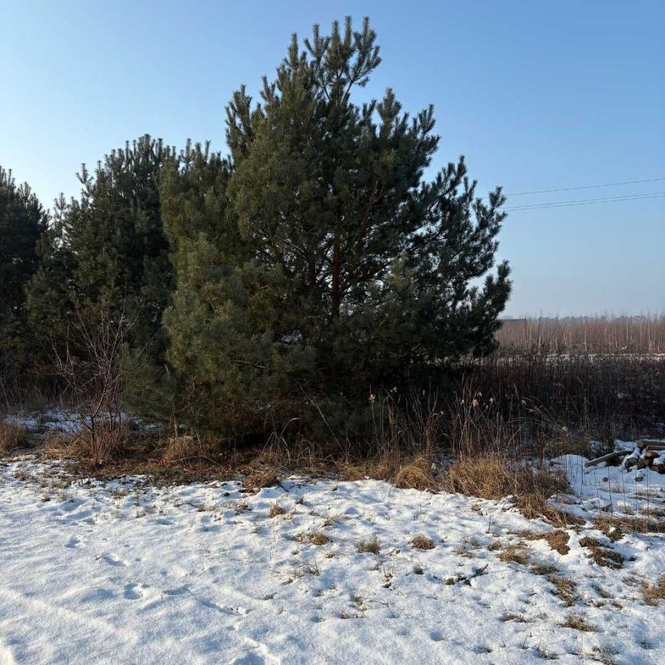 Działka budowlana Wołów. Zdjęcie 2