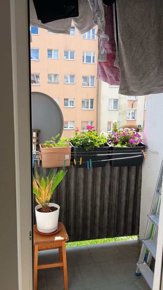 Mieszkanie 2-pokojowe Elbląg Centrum, ul. Odzieżowa. Zdjęcie 4