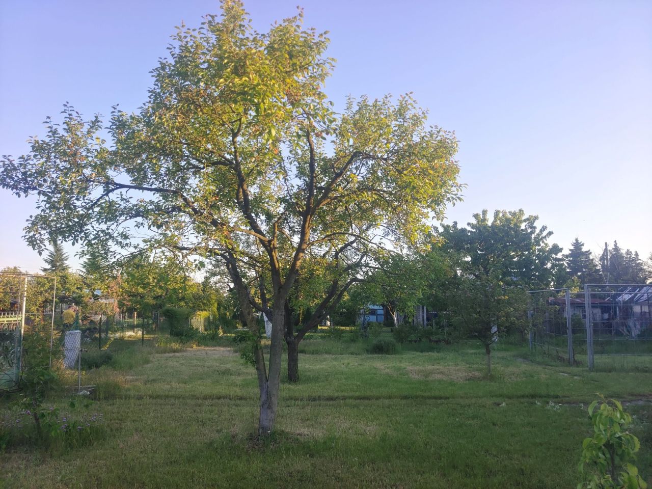 Działka rod Szczecin Świerczewo. Zdjęcie 8