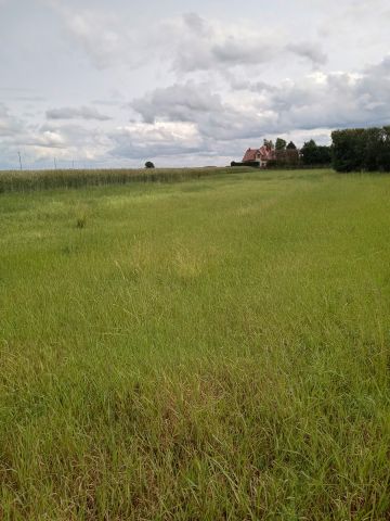 Działka budowlana Dąbrowa Wielka. Zdjęcie 1