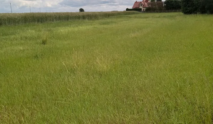 Działka budowlana Dąbrowa Wielka