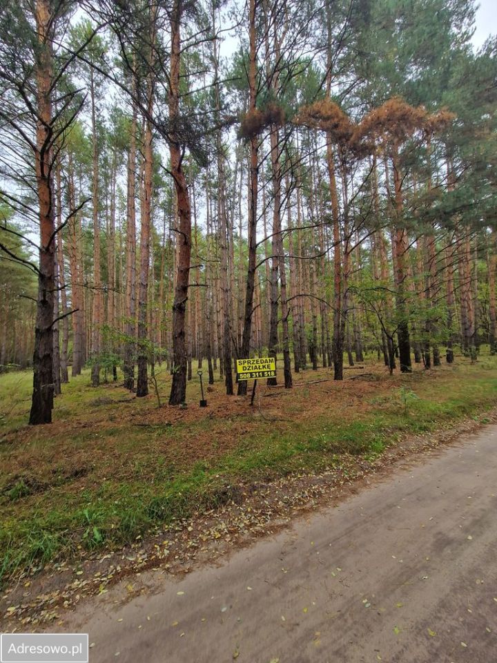 Działka Miastko, ul. Klonowa. Zdjęcie 9