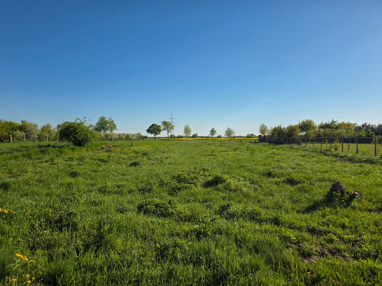 Działka budowlana Dryżyna. Zdjęcie 1
