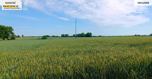 Działka siedliskowa Parsów. Zdjęcie 7