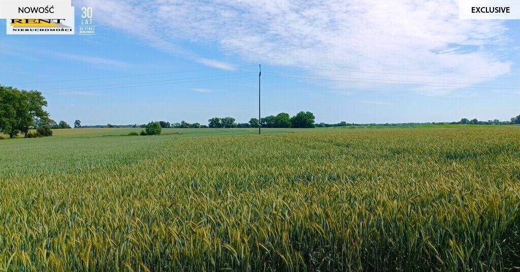 Działka siedliskowa Parsów. Zdjęcie 7