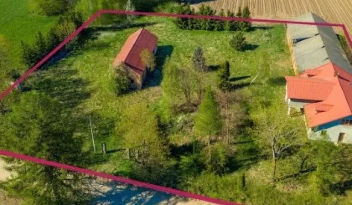 Działka siedliskowa Orzechówka