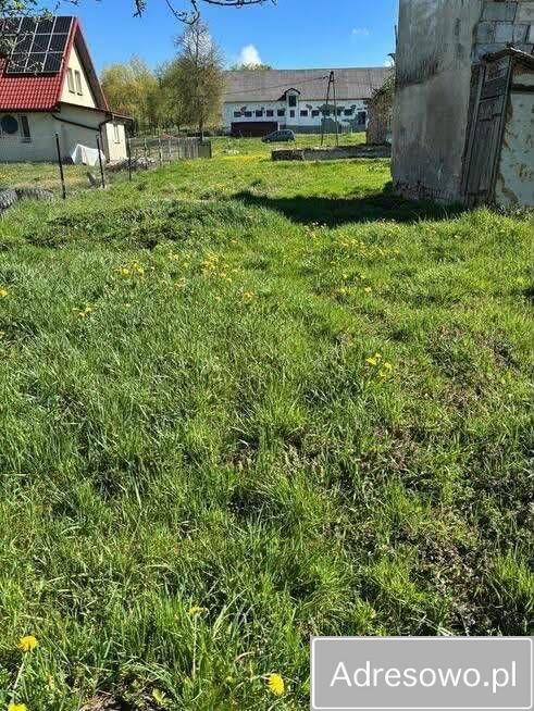 Działka budowlana Ożenna. Zdjęcie 9