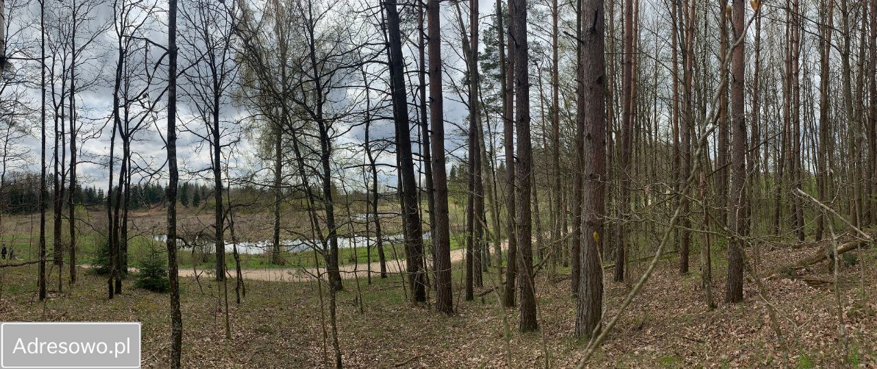 Działka leśna Pluszkiejmy. Zdjęcie 9