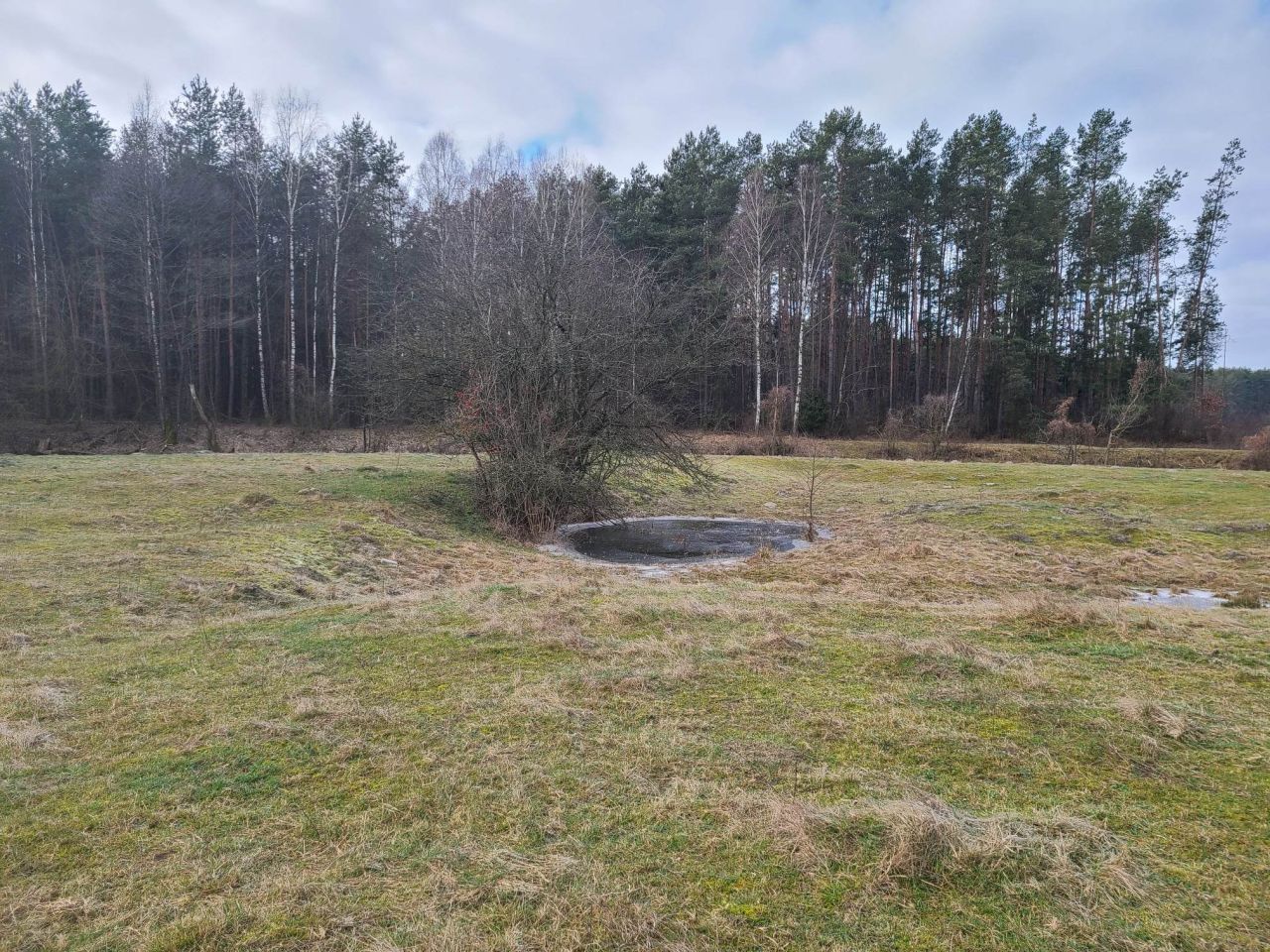 Działka inna Pełch. Zdjęcie 3