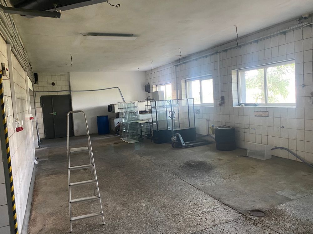 Hala/magazyn Pelplin. Zdjęcie 4