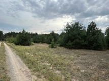 Działka rekreacyjna Marcelów. Zdjęcie 4