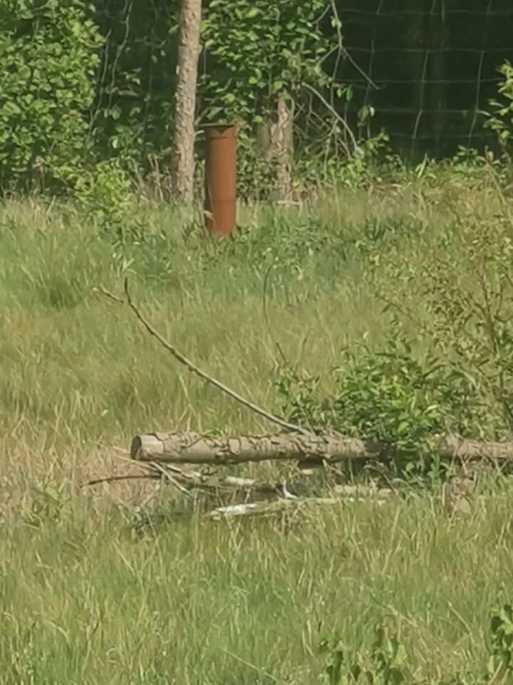 Działka rolno-budowlana Zwoleń. Zdjęcie 4