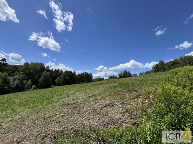 Działka budowlana Paleśnica. Zdjęcie 13