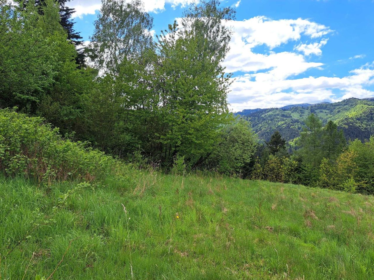 Działka budowlana Piwniczna-Zdrój. Zdjęcie 4