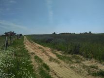 Działka budowlana Maruszewiec. Zdjęcie 1