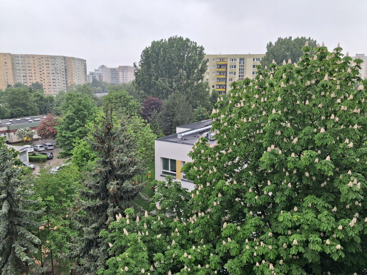 Mieszkanie 5-pokojowe Warszawa Praga-Południe, ul. Władysława Umińskiego. Zdjęcie 12