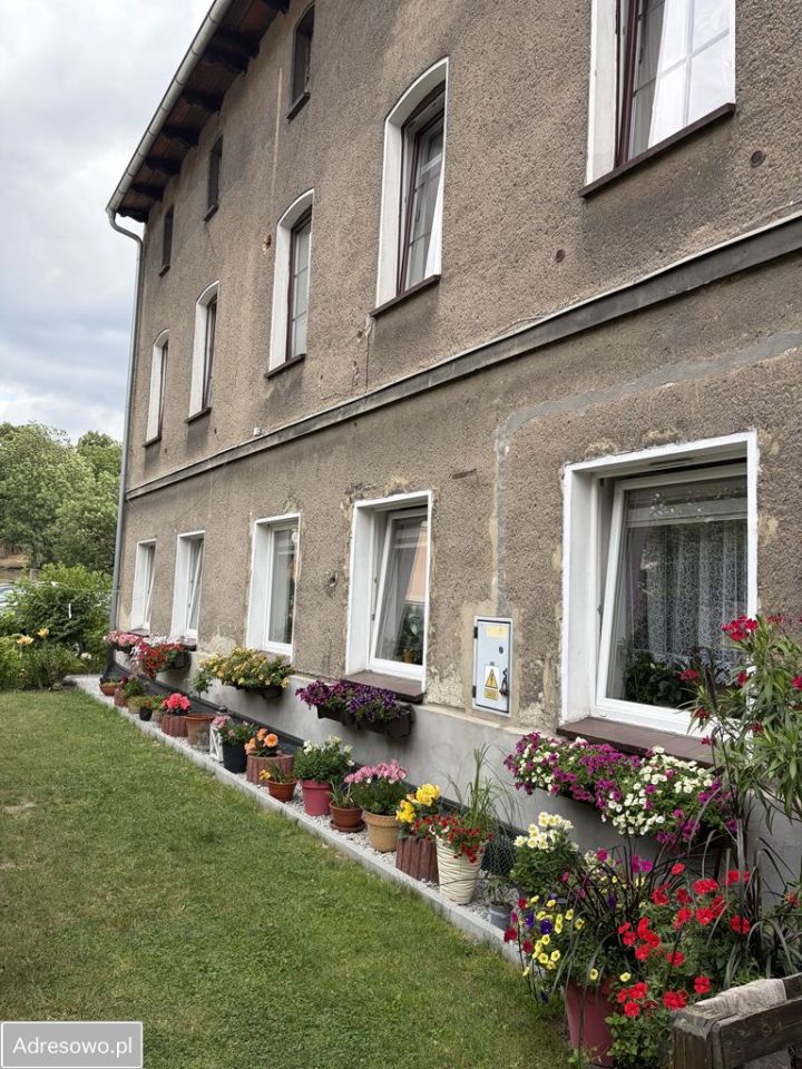 Mieszkanie 1-pokojowe Dzierżoniów. Zdjęcie 4