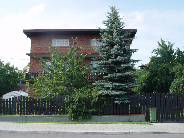 dom wolnostojący, 5 pokoi Pabianice Młodzieniaszek, ul. Dolna. Zdjęcie 1