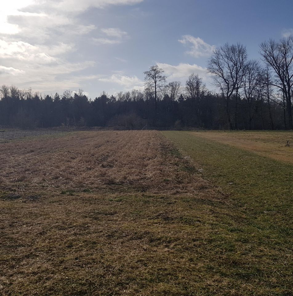 dom wolnostojący, 10 pokoi Okczyn. Zdjęcie 9