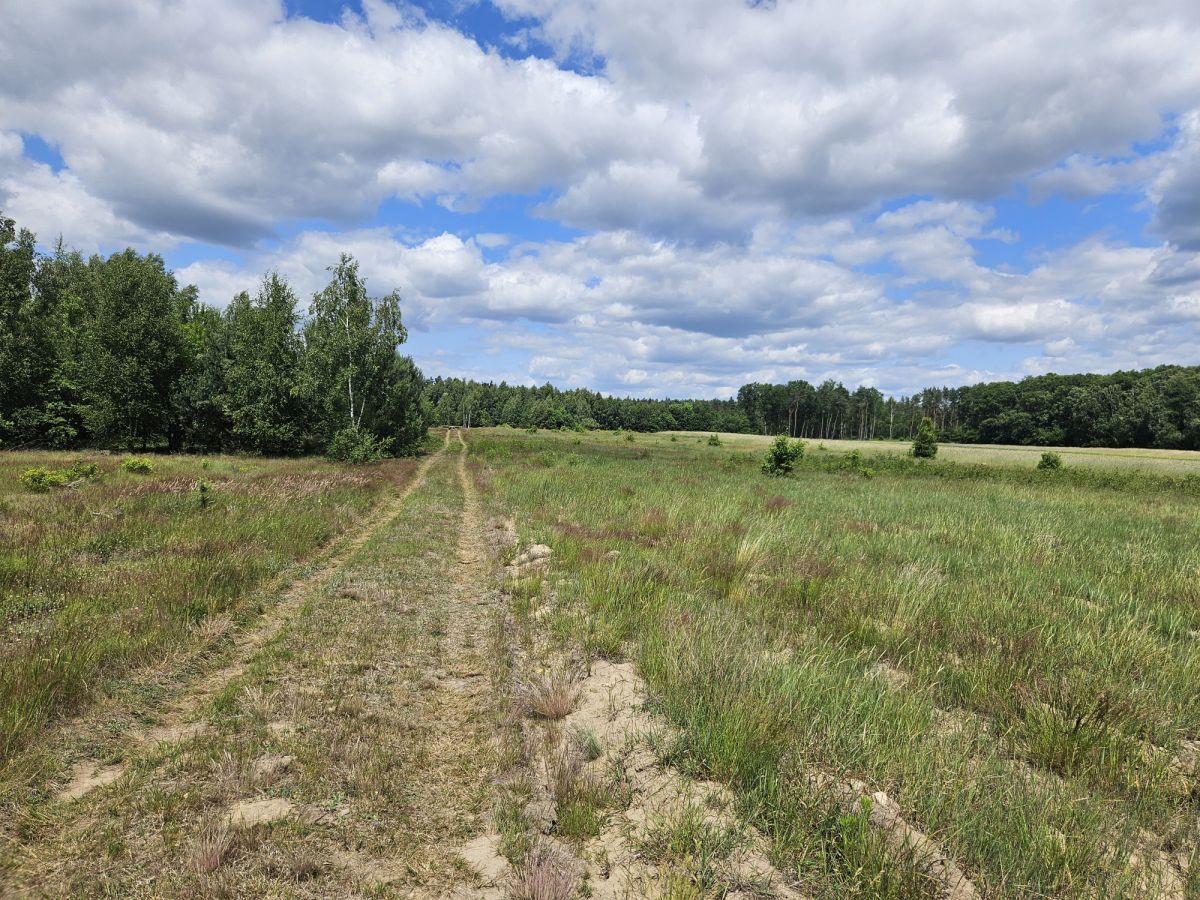 Działka budowlana Stare Wrońska. Zdjęcie 10