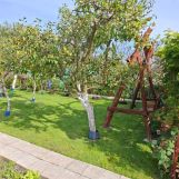 Działka rod Sztum, ul. Kasprowicza. Zdjęcie 2