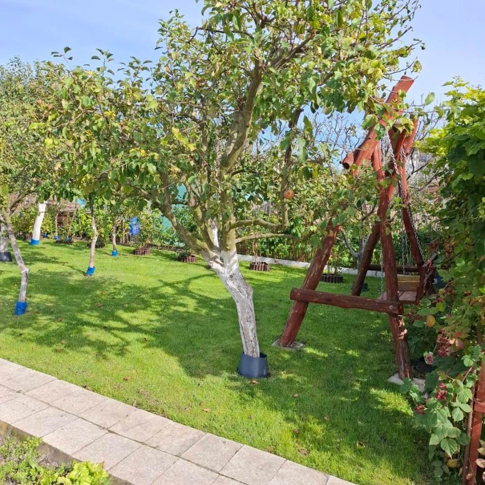 Działka rod Sztum, ul. Kasprowicza. Zdjęcie 3