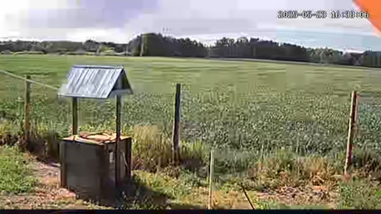 Działka rolna Jedlice Brzostowo. Zdjęcie 9