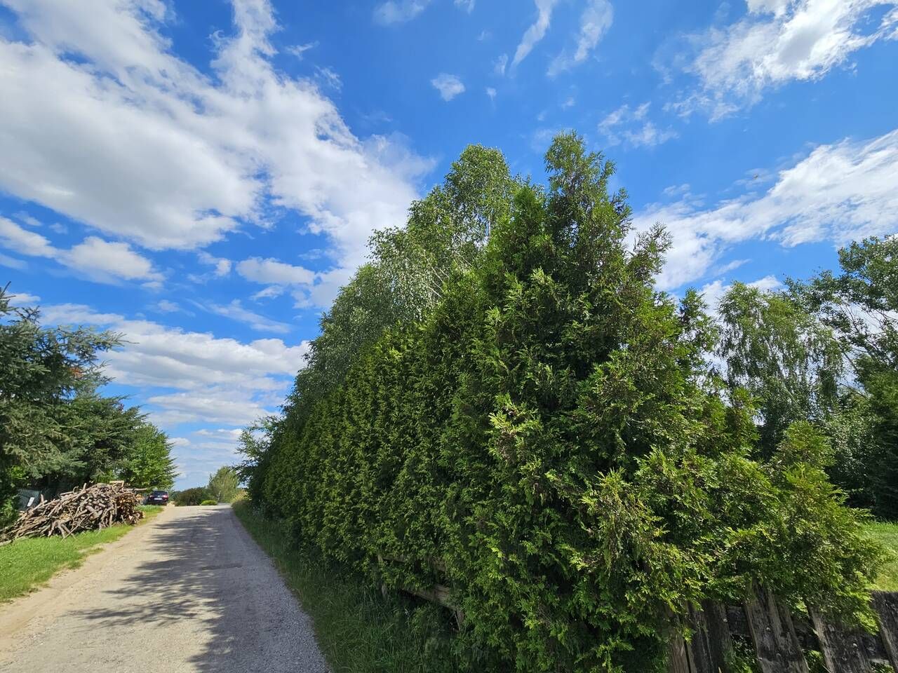 Działka rekreacyjna Urowo Murawki. Zdjęcie 9