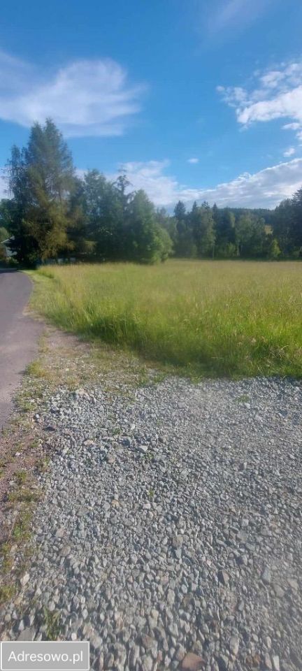 Działka budowlana Świerki. Zdjęcie 5