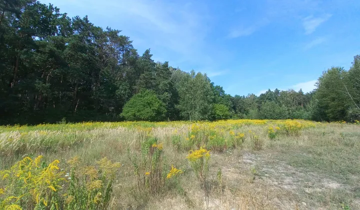 Działka budowlana Warszawa, ul. Polna