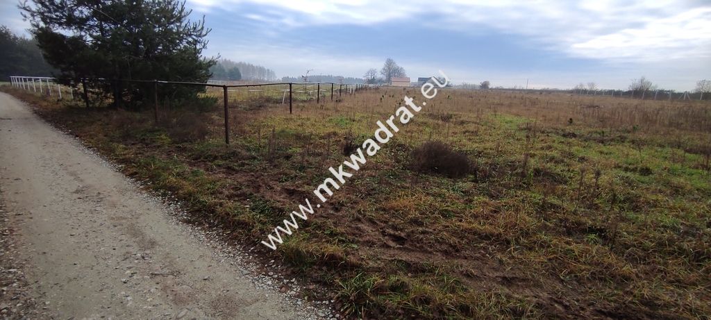 Działka budowlana Tłumy, ul. Poprzeczna. Zdjęcie 12