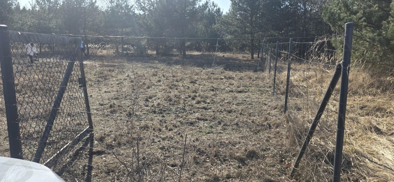 Działka budowlana Sokolniki-Las, Sierpecka. Zdjęcie 3