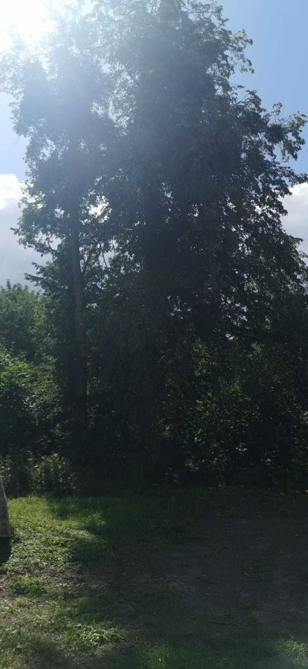 Działka budowlana Gostycyn. Zdjęcie 5