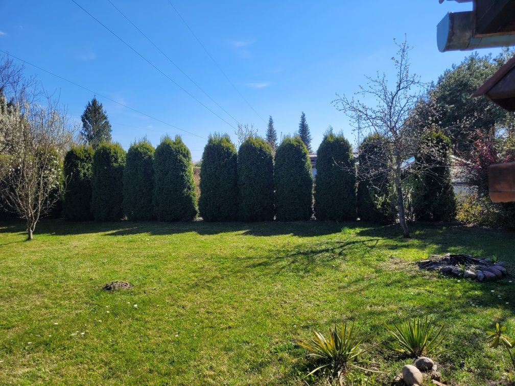 Działka rod Wyszków, ul. Graficzna. Zdjęcie 6