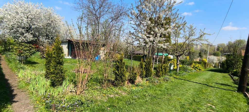 Działka rod Bielsko-Biała, ul. Bukowa. Zdjęcie 4