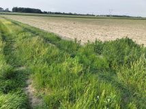 Działka rolna Wola Miedniewska. Zdjęcie 1