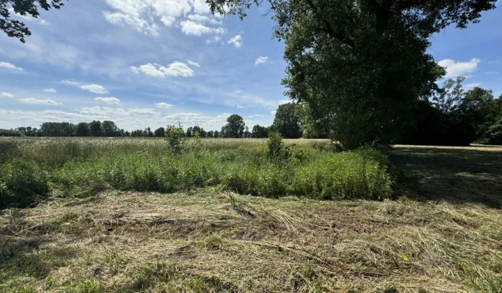 Działka siedliskowa Solca Mała