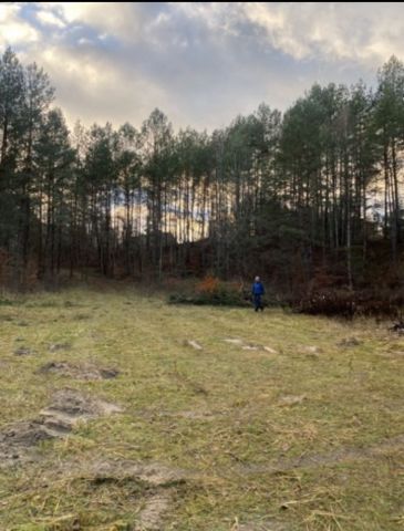 Działka rolna Idzbark. Zdjęcie 1