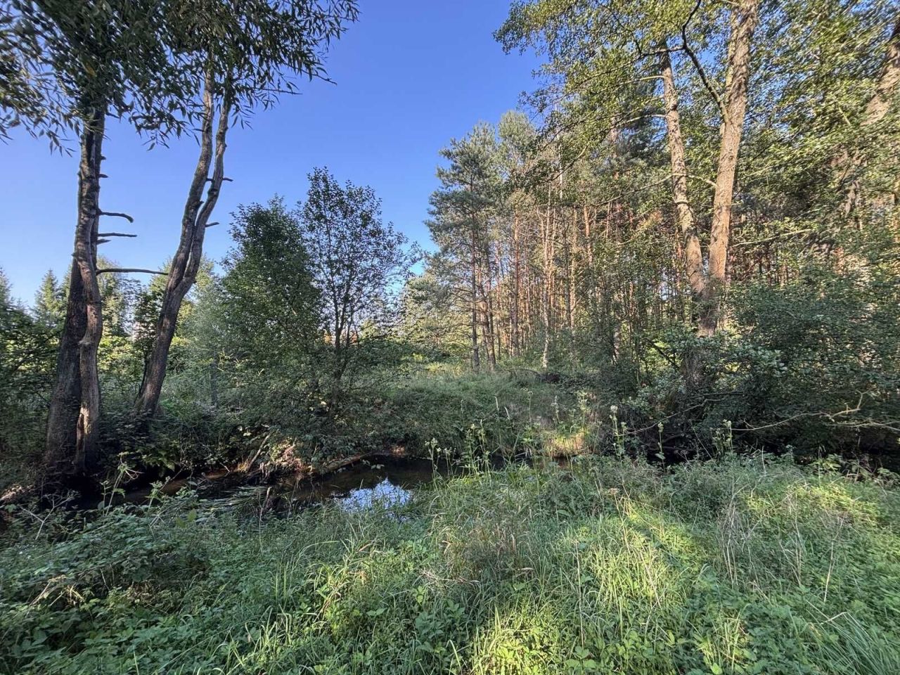 Działka budowlana Rudnik Wielki, ul. Nowa. Zdjęcie 7