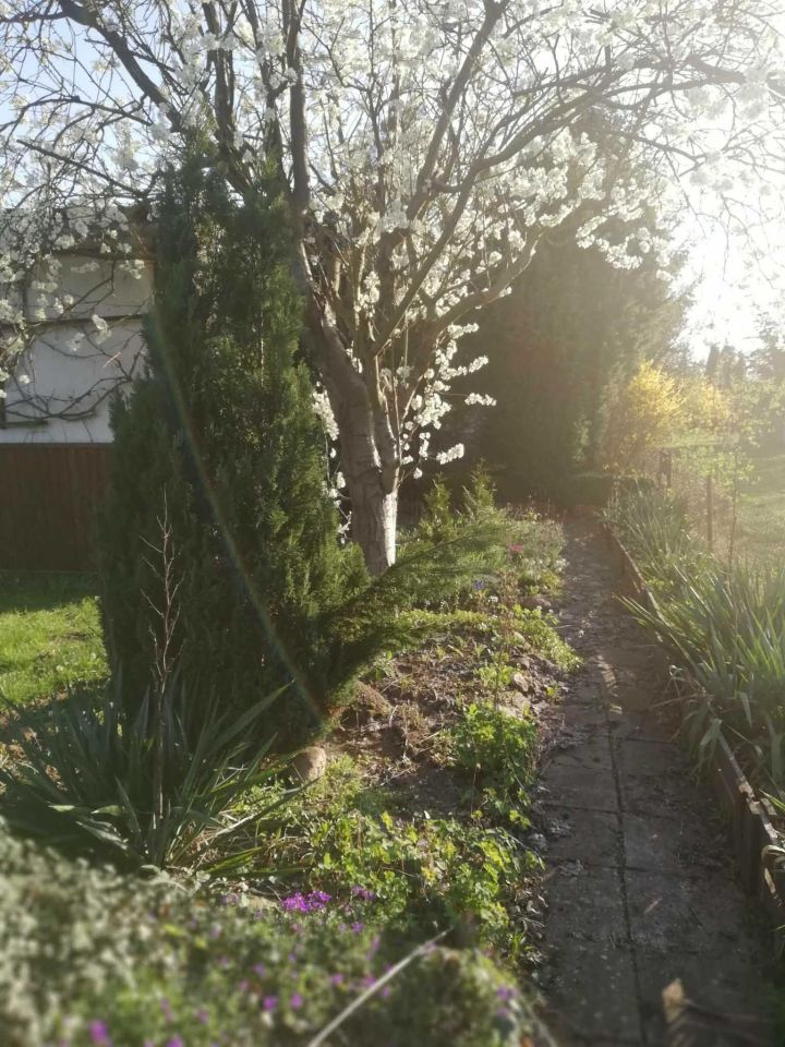 Działka rod Zielona Góra Jędrzychów. Zdjęcie 4